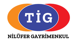 TİG Logo